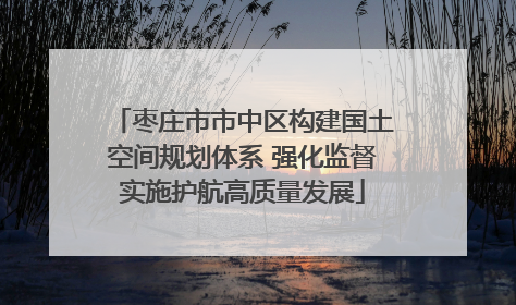枣庄市市中区构建国土空间规划体系 强化监督实施护航高质量发展