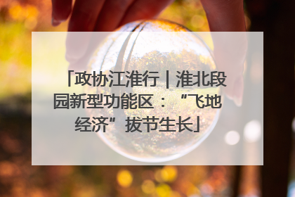 政协江淮行|淮北段园新型功能区:“飞地经济”拔节生长