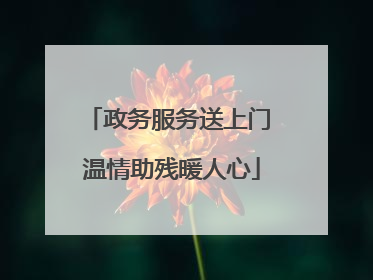 政务服务送上门 温情助残暖人心