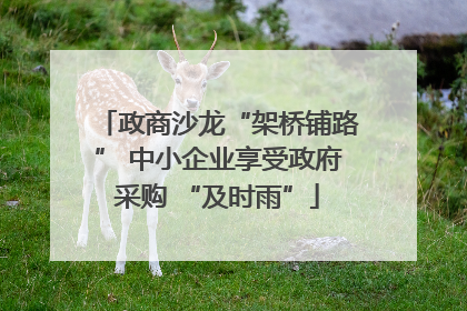 政商沙龙“架桥铺路” 中小企业享受政府采购 “及时雨”