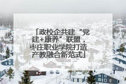 政校企共建“党建+康养”联盟，枣庄职业学院打造产教融合新范式