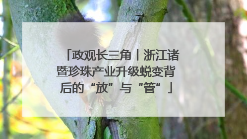 政观长三角丨浙江诸暨珍珠产业升级蜕变背后的“放”与“管”