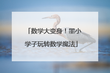 数学大变身！墨小学子玩转数学魔法