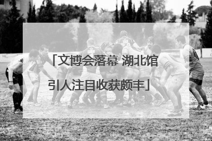 文博会落幕 湖北馆引人注目收获颇丰