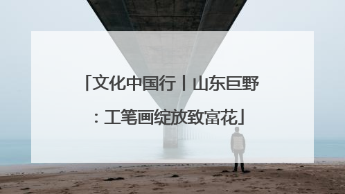 文化中国行丨山东巨野：工笔画绽放致富花