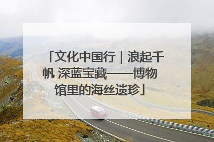 文化中国行｜浪起千帆 深蓝宝藏——博物馆里的海丝遗珍