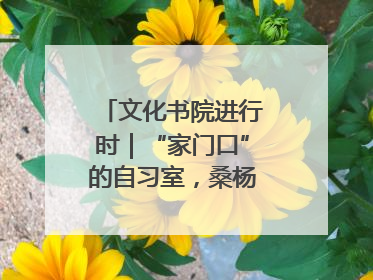 文化书院进行时｜“家门口”的自习室，桑杨社区织就15分钟学习生活圈