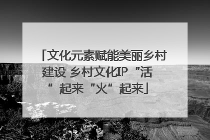 文化元素赋能美丽乡村建设 乡村文化IP“活”起来“火”起来