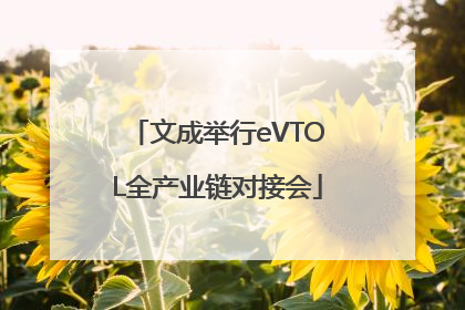文成举行eVTOL全产业链对接会