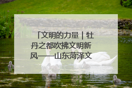文明的力量｜牡丹之都吹拂文明新风——山东菏泽文明创建一线见闻
