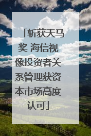 斩获天马奖 海信视像投资者关系管理获资本市场高度认可