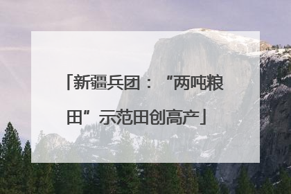 新疆兵团：“两吨粮田”示范田创高产
