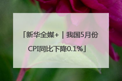 新华全媒+｜我国5月份CPI同比下降0.1%