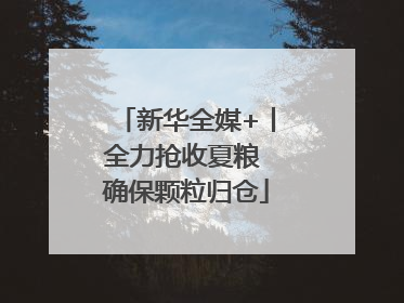 新华全媒+丨全力抢收夏粮 确保颗粒归仓