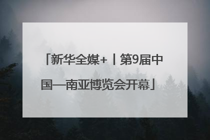 新华全媒+丨第9届中国—南亚博览会开幕