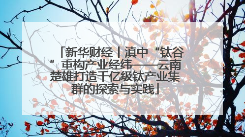 新华财经丨滇中“钛谷”重构产业经纬——云南楚雄打造千亿级钛产业集群的探索与实践