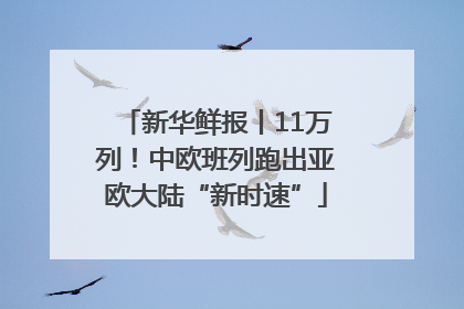 新华鲜报丨11万列！中欧班列跑出亚欧大陆“新时速”