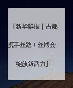 新华鲜报｜古都携手丝路！丝博会绽放新活力