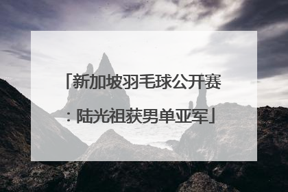 新加坡羽毛球公开赛：陆光祖获男单亚军
