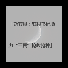 新安县：驻村书记助力“三夏”抢收抢种