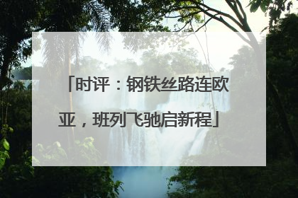 时评：钢铁丝路连欧亚，班列飞驰启新程