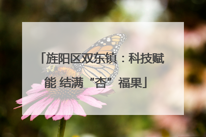 旌阳区双东镇：科技赋能 结满“杏”福果