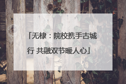 无棣：院校携手古城行 共融双节暖人心