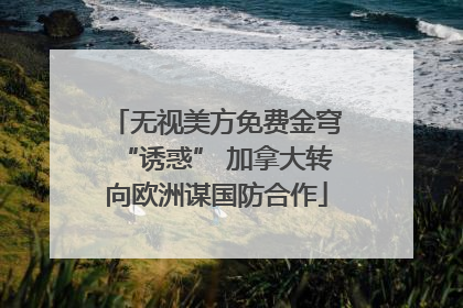 无视美方免费金穹“诱惑” 加拿大转向欧洲谋国防合作