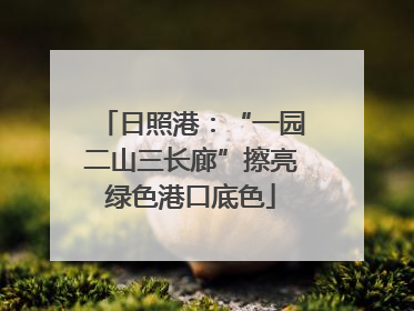 日照港：“一园二山三长廊”擦亮绿色港口底色