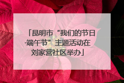 昆明市“我们的节日·端午节”主题活动在刘家营社区举办