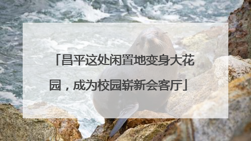 昌平这处闲置地变身大花园，成为校园崭新会客厅