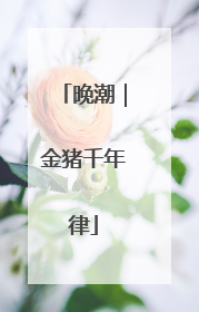 晚潮｜金猪千年律
