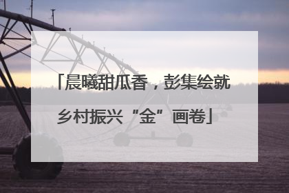 晨曦甜瓜香，彭集绘就乡村振兴“金”画卷