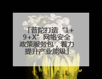 普陀打造“1+9+X”网络安全政策服务包，着力提升产业能级