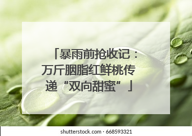 暴雨前抢收记：万斤胭脂红鲜桃传递“双向甜蜜”
