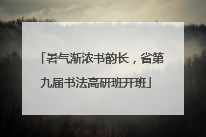 暑气渐浓书韵长，省第九届书法高研班开班
