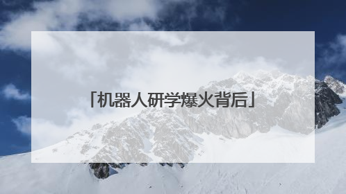 机器人研学爆火背后