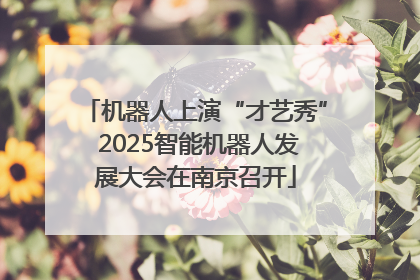 机器人上演“才艺秀” 2025智能机器人发展大会在南京召开