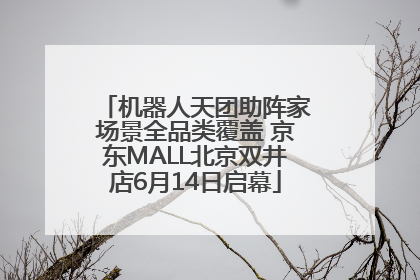机器人天团助阵家场景全品类覆盖 京东MALL北京双井店6月14日启幕