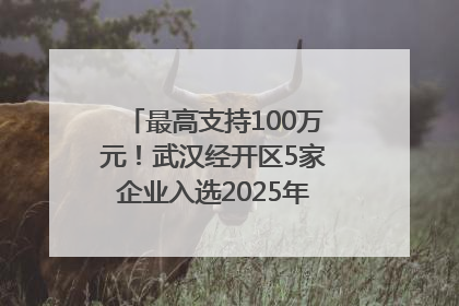 最高支持100万元！武汉经开区5家企业入选2025年度武汉市重点研发计划拟立项项目名单