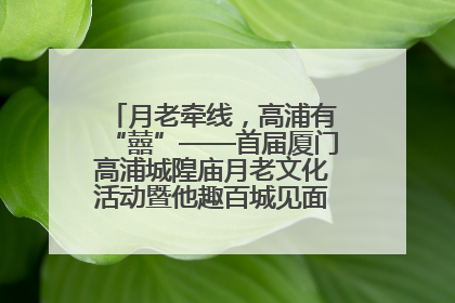 月老牵线，高浦有“囍”——首届厦门高浦城隍庙月老文化活动暨他趣百城见面会隆重举办