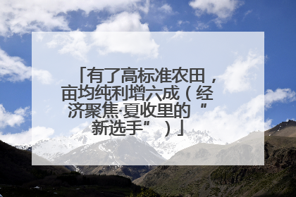 有了高标准农田，亩均纯利增六成（经济聚焦·夏收里的“新选手”）