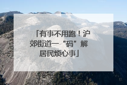 有事不用跑！沪郊街道一“码”解居民烦心事