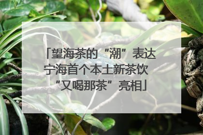 望海茶的“潮”表达 宁海首个本土新茶饮“又喝那茶”亮相