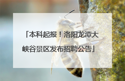 本科起报！洛阳龙潭大峡谷景区发布招聘公告