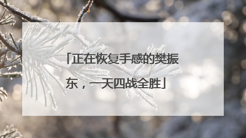 正在恢复手感的樊振东，一天四战全胜