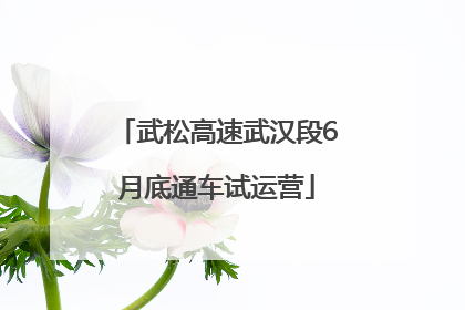 武松高速武汉段6月底通车试运营
