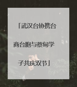 武汉台协携台商台胞与蔡甸学子共庆双节