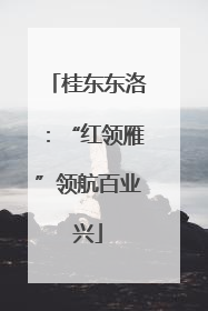 桂东东洛：“红领雁”领航百业兴
