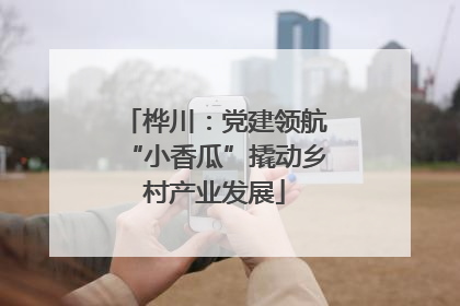 桦川：党建领航“小香瓜”撬动乡村产业发展